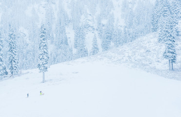 scenic view of small people walking in snow mountain,Washington,USA.