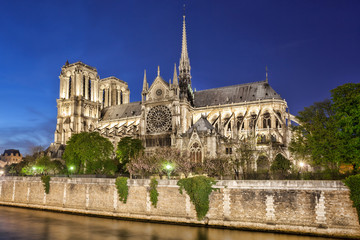 Obraz premium Notre Dame de Paris in France