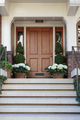 Fototapeta na wymiar Front door, front view of front brown door with mail slot and green plants