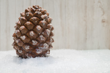 Fresh pine in the snow , covered