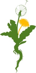Naklejka premium silhouette of dandelion