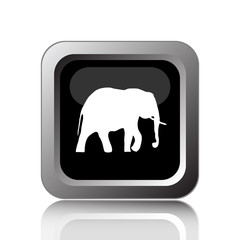 Elephant icon