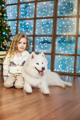 Little girl and samoyed dog near the window