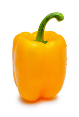 Yellow paprika