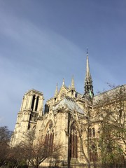 Retro di Notre Dame, Parigi, Francia