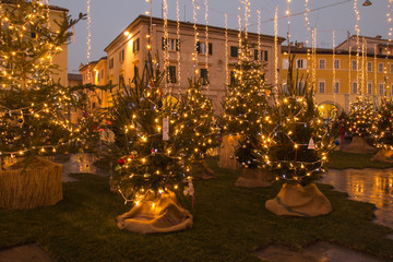Il bosco urbano di San Severino Marche