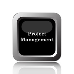 Project management icon