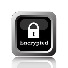 Encrypted icon