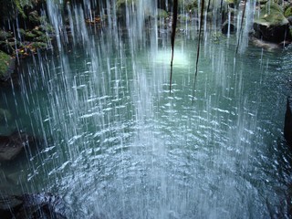 Emerald Pool from behind waterfall, Dominica, Caribbean