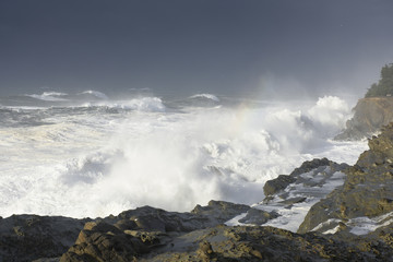 Swells of a Decade Crashing Against the Cliffs of Shore Acres State Park, Coos Bay Oregon