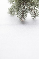 Christmas decoration over silver background.