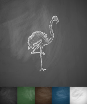 flamingo icon. Hand drawn vector illustration