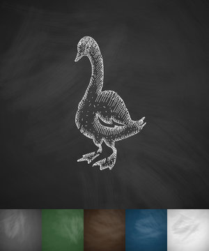 goose icon. Hand drawn vector illustration