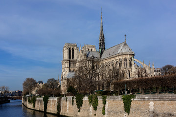 Fototapeta na wymiar Cathedral Notre Dame de Paris on Cite Island, Paris, France.