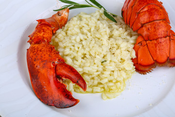 Risotto with lobster