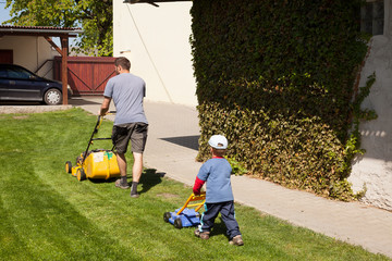 Little boy cut the grass.