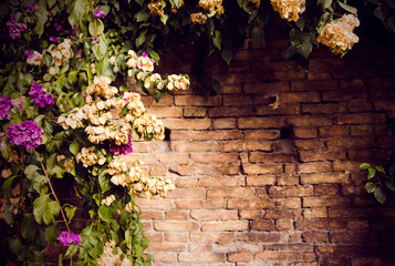 flowers on brick wall for wallpaper