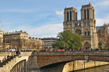 Fototapeta na wymiar Parigi, la Senna a Notre Dame 