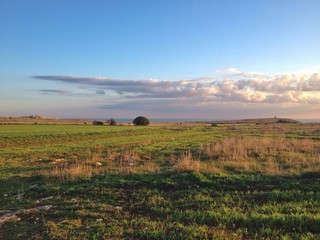 Landscape Litoranea Salento