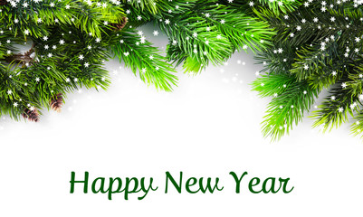 Christmas tree branch on white background