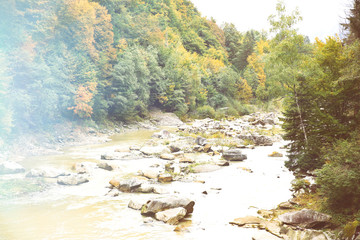 Mountain river flowing through forest
