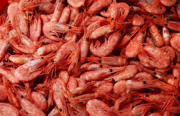 Raw Shrimps / Shrimps at a seafood market in Bergen, Norway