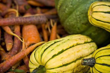 Fall Harvest