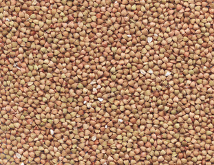 Dry buckwheat