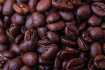Coffee beans closeup