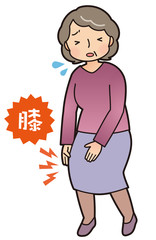 膝の痛み　高齢者　女性