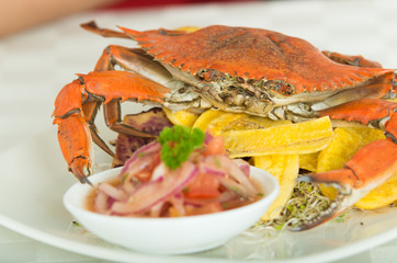 Close up shot of delicious elegant red crab on a plate