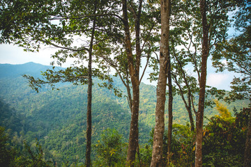 Go to the forest, national park.
