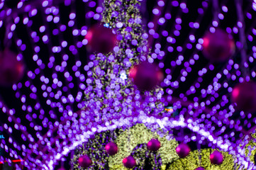 Christmas and New Year Decoration