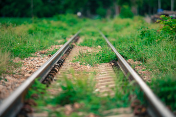 .Railway during the rainy season with green grass