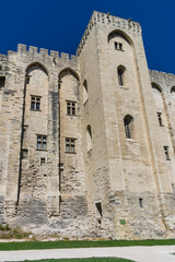 Avignon - View on Popes Palace, Provence, France