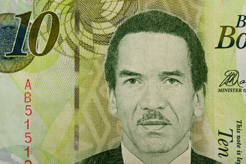 Detail of 10 Botswana Pula banknote