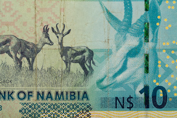 Detail of 10 Namibian dollars banknote