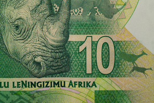 detail of sout african rand