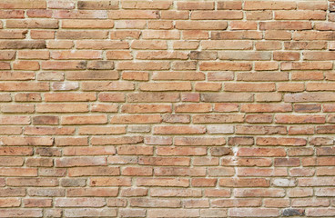 Old brick wall in a background image