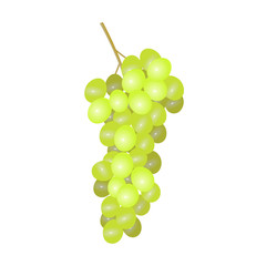 White grapes. A bunch of grapes