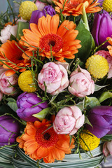 Bouquet of orange gerbera daisies, violet tulips and pink roses