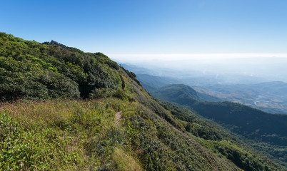 Naklejka premium kew Mae Pan Nature trail