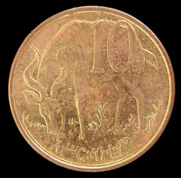 Tail of 10 birr coin, issued by Ethiopia and depicting a Mountain Nyala antelope