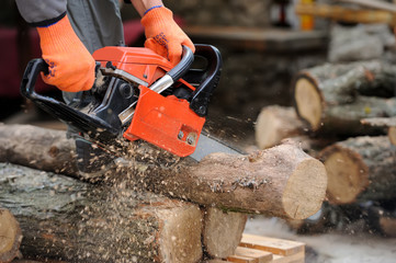  Chainsaw and tree