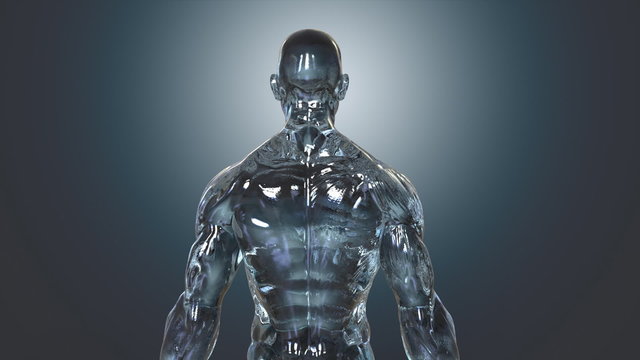 Anatomy