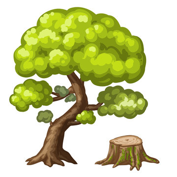 Illustration of a closeup tree