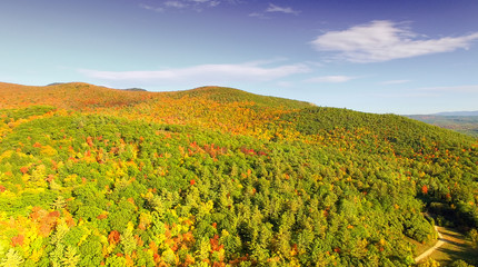 Obraz premium Colorful field of trees on the side of a mountain during fall fo