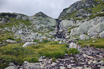 Mountain river near The Seven Rila Lakes, Rila Mountain, Bulgaria