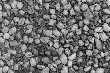 rock

