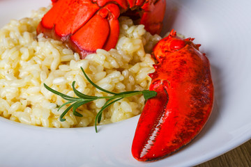 Risotto with lobster
